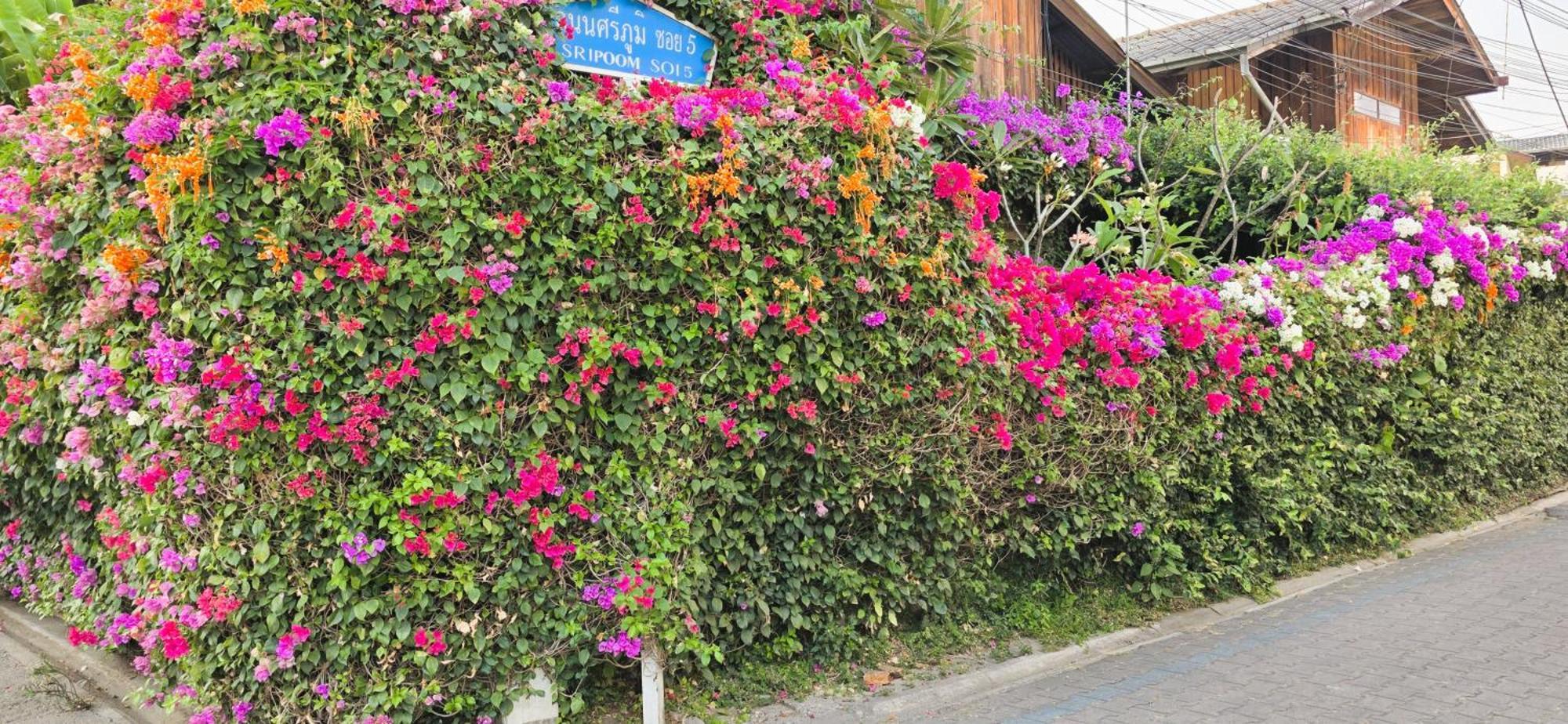 Siriwan Hostel เชียงใหม่ ภายนอก รูปภาพ