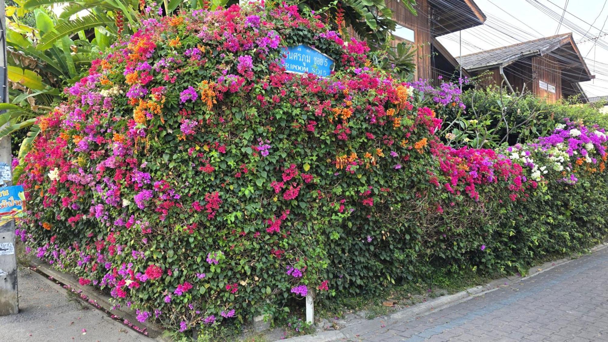 Siriwan Hostel เชียงใหม่ ภายนอก รูปภาพ