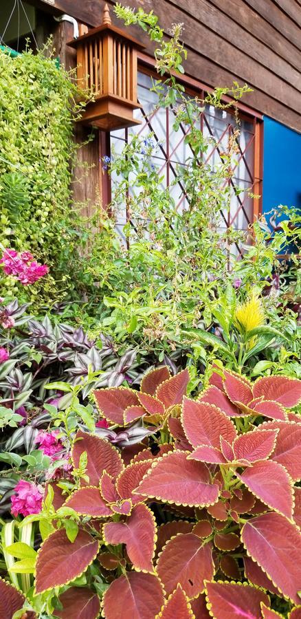 Siriwan Hostel เชียงใหม่ ภายนอก รูปภาพ